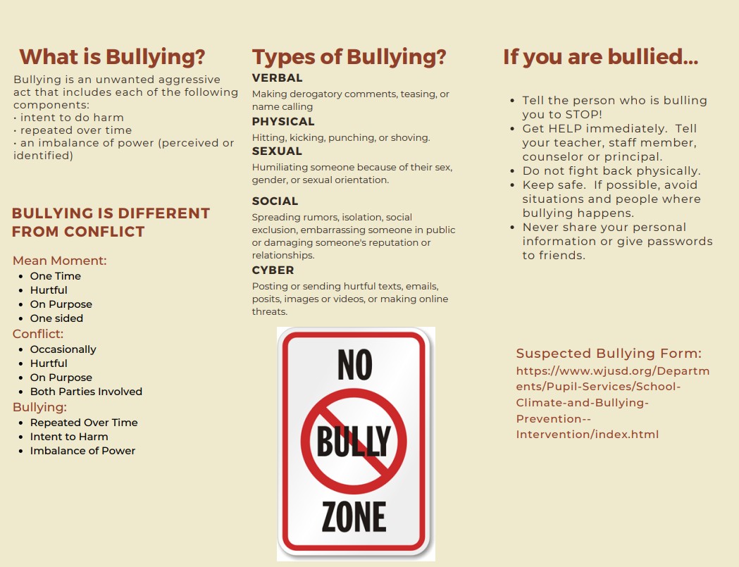 Bully Brochure english 2