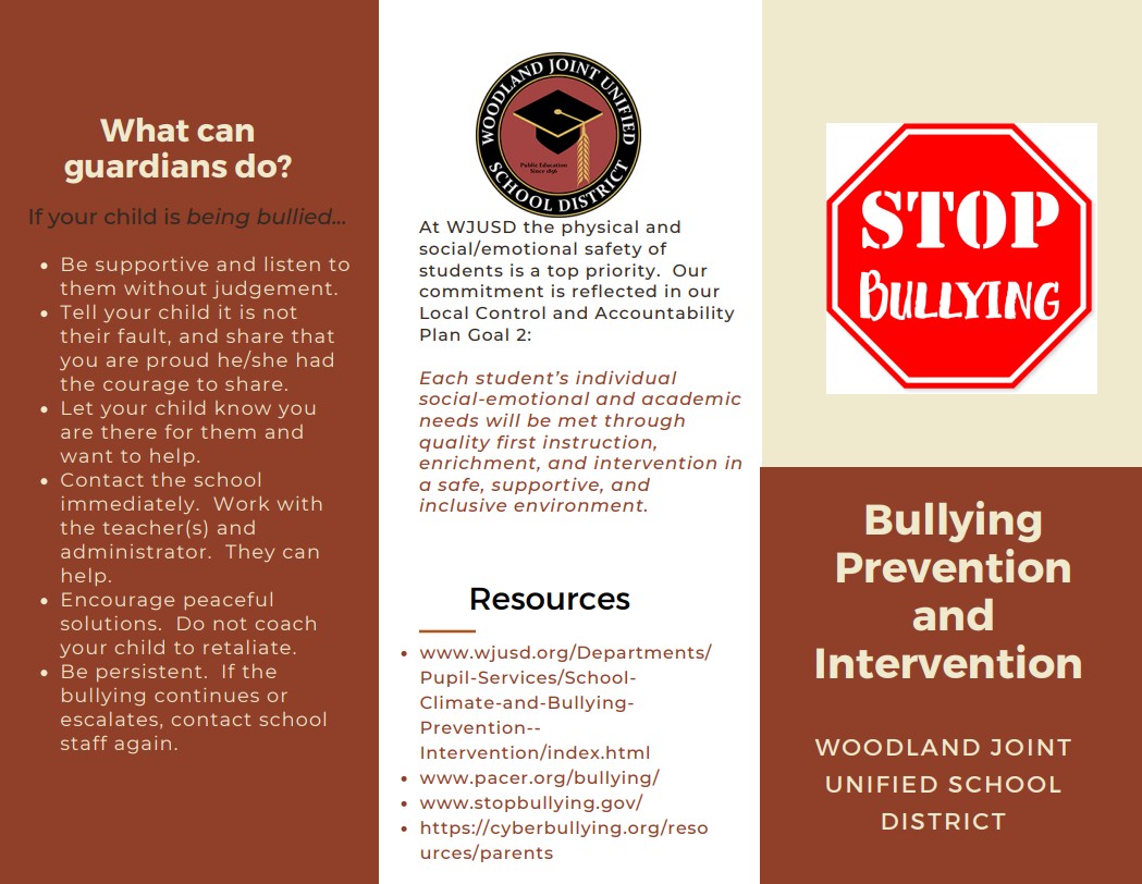 Bully Brochure English