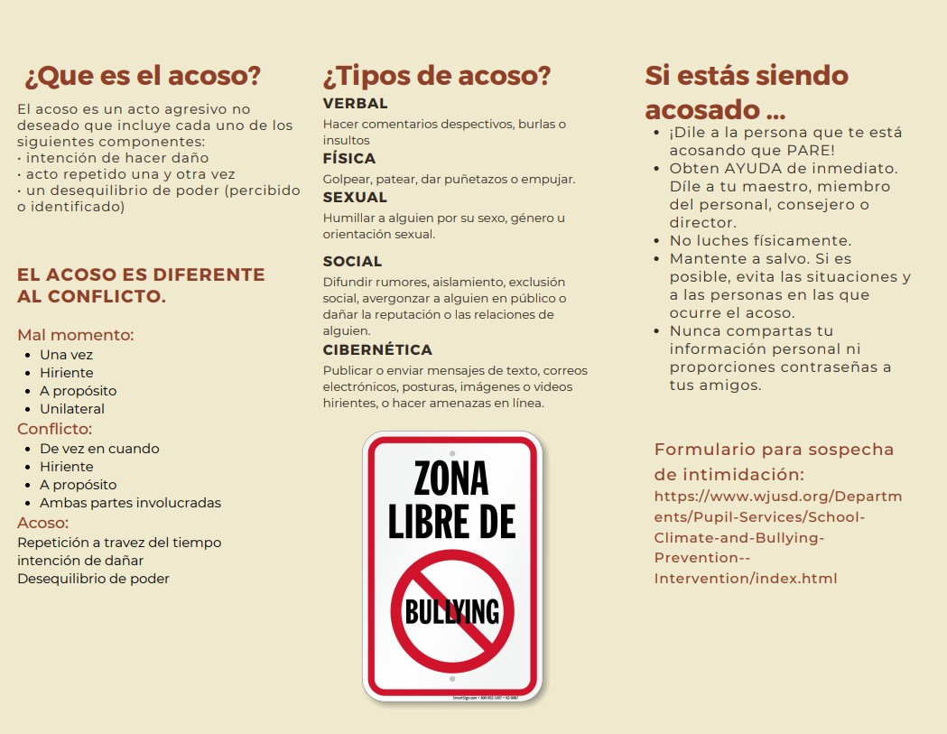 Bully Brochure information Spanish