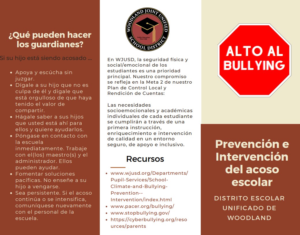 Bully Brochure Spanish2