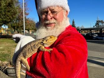bearded dragon on had of person dressed as santa