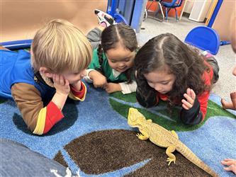 Students with bearded dragon